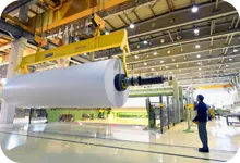 Paper & Pulp Industry